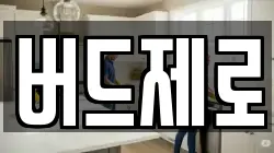 버드제로
