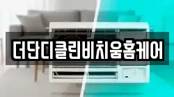 더단디클린비치움홈케어