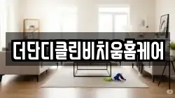 더단디클린비치움홈케어