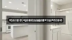 부산시스템스탠드벽걸이에어컨청소통돌이세탁기청소싹쓰리하우스