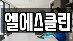 엘에스클린