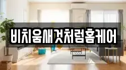 부산광역시 중구 부평동3가 청소,입주청소,사무실청소,에어컨청소,특수청소,상가청소,거주청소,유품정리