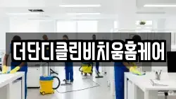 더단디클린비치움홈케어