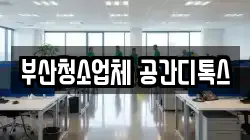 부산청소업체 공간디톡스