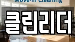 클린리더