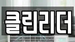 클린리더