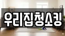 우리집청소킹