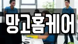 망고홈케어