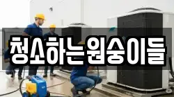 청소하는원숭이들