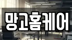 망고홈케어