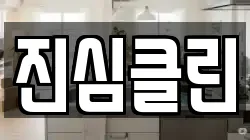 진심클린