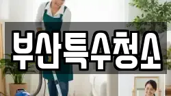 부산특수청소