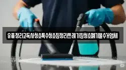 부산 강서구 동선동 청소,입주청소,사무실청소,에어컨청소,특수청소,상가청소,거주청소,유품정리