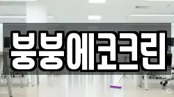 붕붕에코크린