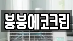 붕붕에코크린
