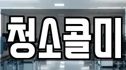 청소콜미