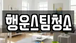행운스팀청소