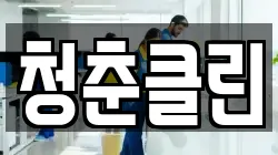 청춘클린