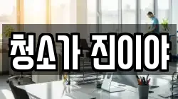 청소가 진이야