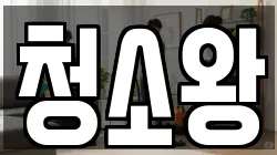 청소왕