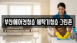 부산에어컨청소 세탁기청소 그린존
