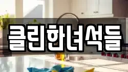 클린한녀석들