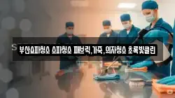 부산쇼파청소 소파청소 패브릭,가죽,의자청소 초록빛클린