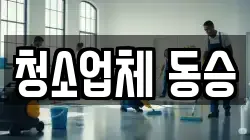 청소업체 동승
