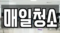 매일청소