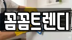 꼼꼼트렌디