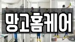 망고홈케어