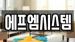 에프엠시스템