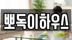 뽀독이하우스