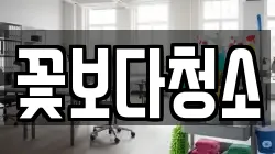 꽃보다청소