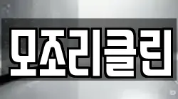 모조리클린