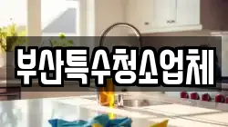 부산특수청소업체