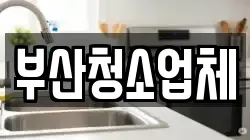 부산청소업체