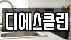 디에스클린