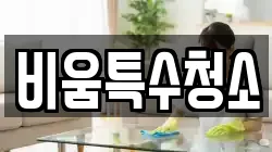 비움특수청소