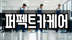 퍼펙트카케어