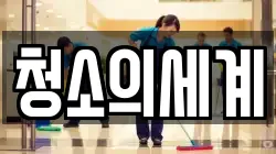 청소의세계