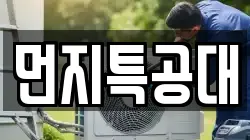 먼지특공대