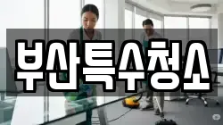부산특수청소