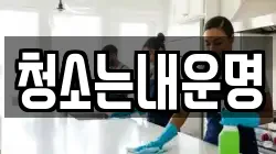 청소는내운명