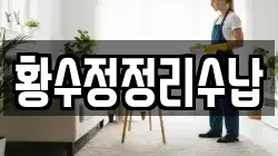 황수정정리수납