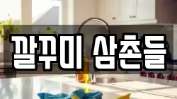 깔꾸미 삼촌들