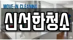 신선한청소