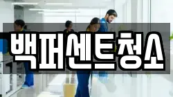 백퍼센트청소