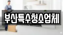부산특수청소업체