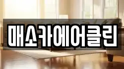매소카에어클린